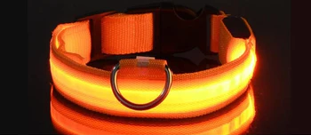 LED-Leucht-Hunde-Halsband (USB)