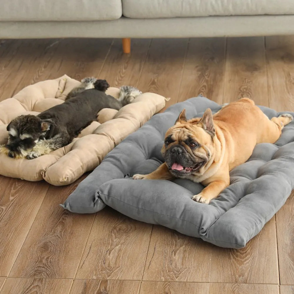 Luxus-Hunde-Bett