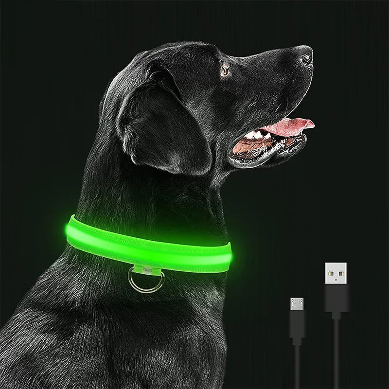 LED-Leucht-Hunde-Halsband (USB)